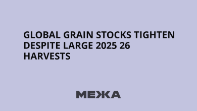 Global grain stocks tighten despite large 2025 26 harvests | Ukraine news