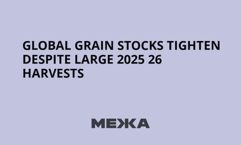 Global grain stocks tighten despite large 2025 26 harvests | Ukraine news Global grain stocks tighten despite large 2025 26 harvests | Ukraine news