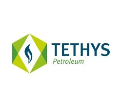 Tethys Petroleum Press Release: Corporate update
