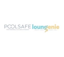 Pool Safe Announces Interim CEO and a Change to Its Board of Directors Pool Safe Announces Interim CEO and a Change to Its Board of Directors