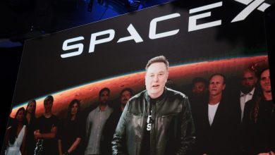 SpaceX Stock Drops Below Its 5 IPO Price