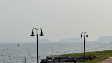 Clarkson to host Adirondack Fire Futures symposium this week | Community News Clarkson to host Adirondack Fire Futures symposium this week | Community News