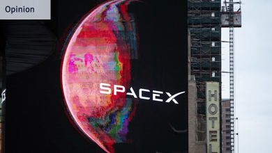 AI bubble? Share price falls for SpaceX point to a dotcom-like problem with artificial intelligence companies