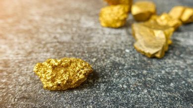 Gold Mining Stocks in Focus as New Projects and Policy Changes Reshape the Sector Gold Mining Stocks in Focus as New Projects and Policy Changes Reshape the Sector