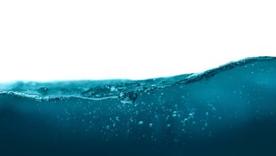 What’s Behind the Growing Appeal of Alternative ETFs? What’s Behind the Growing Appeal of Alternative ETFs?