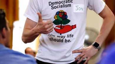 Republicans decry a new Democratic Socialists of America platform as Dem primaries split the party