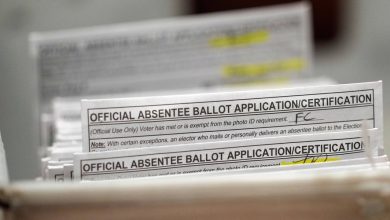 Wisconsin voters begin casting ballots at the polls in chaotic Democratic governor’s race