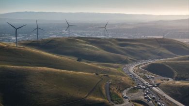 Trump administration admits it canceled clean-energy grants in states that voted for Kamala Harris