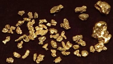 Goldplat expects FY2026 results to beat market forecasts on higher gold prices (GDP) Goldplat expects FY2026 results to beat market forecasts on higher gold prices (GDP)