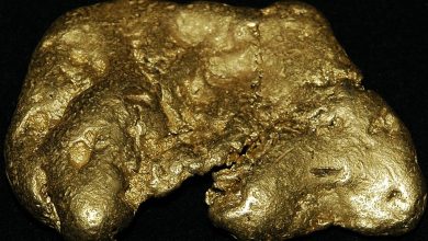 Gold holds near ,000 as Fed rate expectations offset safe-haven demand Gold holds near ,000 as Fed rate expectations offset safe-haven demand
