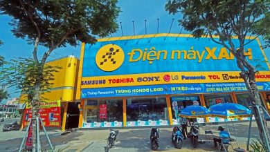 Vietnam’s Dien May Xanh raises over 0m in IPO
