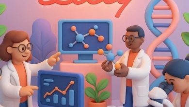Eli Lilly (LLY) Stock Looks Undervalued On Fair Value Yet Full On Earnings