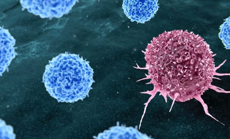 Retail Bets On Big Pharma Buyouts As J&J Chases No. 1 Oncology Spot Retail Bets On Big Pharma Buyouts As J&J Chases No. 1 Oncology Spot