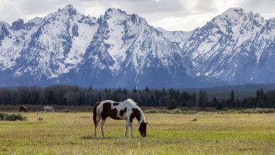 Zero State Income Tax and 0,000: Here’s How to Retire to Wyoming at 62