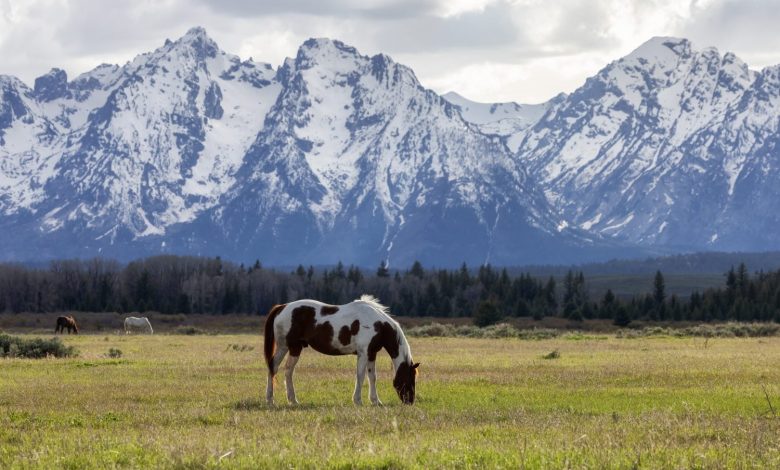 Zero State Income Tax and 0,000: Here’s How to Retire to Wyoming at 62 Zero State Income Tax and 0,000: Here’s How to Retire to Wyoming at 62