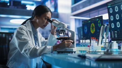 Has Island Pharmaceuticals (ASX:ILA) More Growth Ahead After a 164% One-Year Rally? Has Island Pharmaceuticals (ASX:ILA) More Growth Ahead After a 164% One-Year Rally?