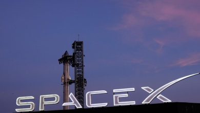 SpaceX stock erases gains, slides below IPO price in intraday trading