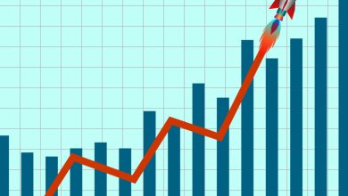 Hair loss biotech Veradermics, up 656% since its IPO, credits the obesity boom