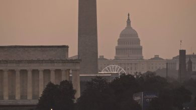 Trump’s pardons for Jan. 6 rioters don’t apply to DC pipe bomb suspect, judge rules