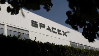 SpaceX is falling after posting first earnings report since IPO. What Wall Street firms are saying SpaceX is falling after posting first earnings report since IPO. What Wall Street firms are saying