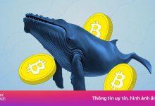 U.S. Spot Bitcoin ETFs Log About  Billion Net Inflows, Strongest Since April: how 16 outlets framed it