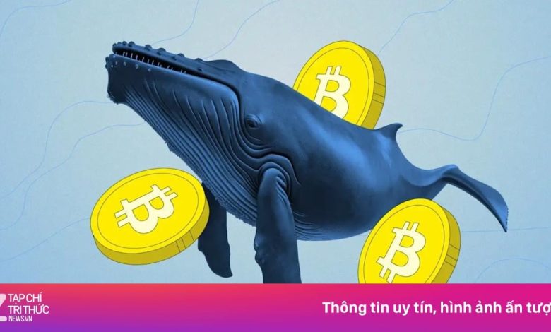 U.S. Spot Bitcoin ETFs Log About  Billion Net Inflows, Strongest Since April: how 16 outlets framed it