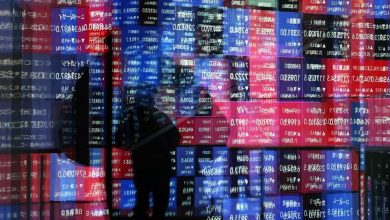 Stocks Rise as Rate Hike Expectations Fall, Oil Prices Drop