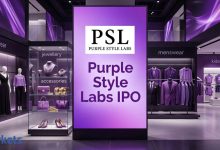 Can Purple Style Labs IPO deliver long-term growth for high-risk investors?