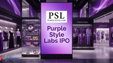 Can Purple Style Labs IPO deliver long-term growth for high-risk investors? Can Purple Style Labs IPO deliver long-term growth for high-risk investors?