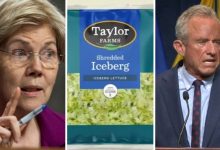 Sen. Warren demands answers from RFK Jr. over ‘calamitous’ response to cyclosporiasis outbreak