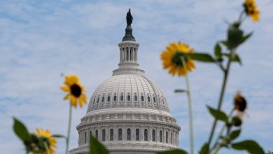 Senate leaders reach funding deal to avoid shutdown during campaign season Senate leaders reach funding deal to avoid shutdown during campaign season