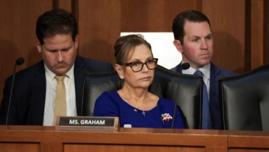 Sen. Darline Graham avoids giving direct answer to national security question in S.C. debate: ‘Not my thing’