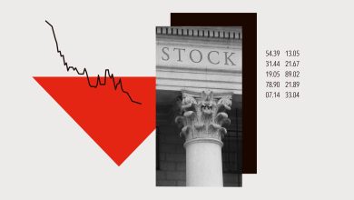 Behavioral Finance: How Biases Shape Investing Decisions Behavioral Finance: How Biases Shape Investing Decisions