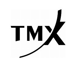 Toronto Stock Exchange, Vizsla Copper Corp., The View from the C-Suite