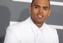 Judge Orders Chris Brown’s Tour Earnings Redirected to Pay  Million Dog Attack Judgment