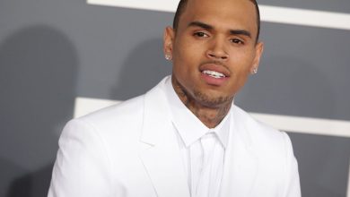 Judge Orders Chris Brown’s Tour Earnings Redirected to Pay  Million Dog Attack Judgment