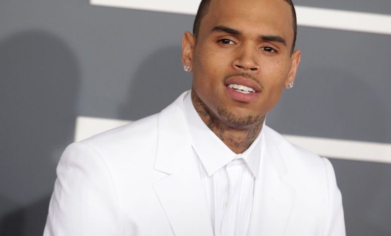 Judge Orders Chris Brown’s Tour Earnings Redirected to Pay  Million Dog Attack Judgment