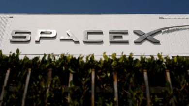 SpaceX and Tesla Are Two of the Most Compelling Shorts, Market Vet Says SpaceX and Tesla Are Two of the Most Compelling Shorts, Market Vet Says