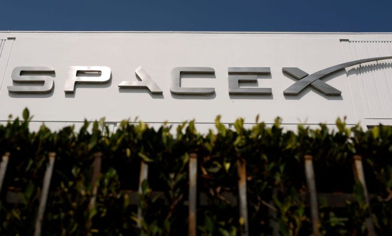 SpaceX and Tesla Are Two of the Most Compelling Shorts, Market Vet Says SpaceX and Tesla Are Two of the Most Compelling Shorts, Market Vet Says