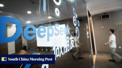DeepSeek nears pre-IPO funding round as 2027 market debut takes shape: sources
