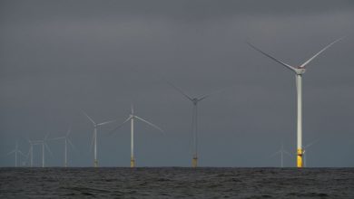 Padilla leads push for answers about cancelled wind projects Padilla leads push for answers about cancelled wind projects