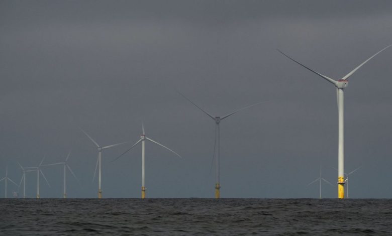 Padilla leads push for answers about cancelled wind projects