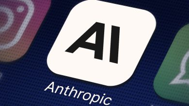 Anthropic Customers Switch to Cheaper Models Ahead of IPO