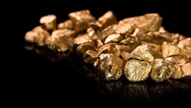 Why Is Gold Fields (NYSE:GFI) Earnings Update in Market Focus? Why Is Gold Fields (NYSE:GFI) Earnings Update in Market Focus?