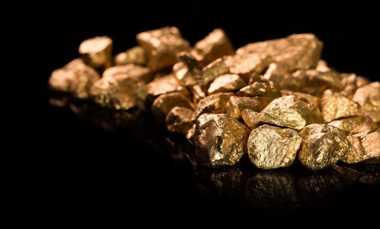Why Is Gold Fields (NYSE:GFI) Earnings Update in Market Focus?