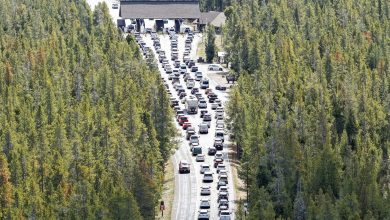 Defunding the national parks, America’s ‘best idea’