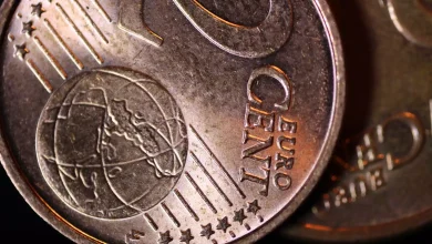 NerdWallet stock holds steady as personal finance platform expands reach NerdWallet stock holds steady as personal finance platform expands reach