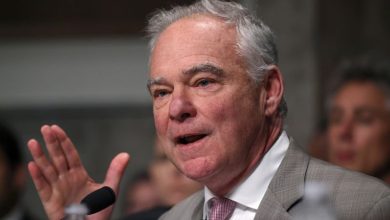 ‘They are murder victims’: Senator suggests US strikes have killed people who weren’t involved in drug trafficking ‘They are murder victims’: Senator suggests US strikes have killed people who weren’t involved in drug trafficking
