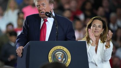 Midterms, Actually: The real “electability” question is about Donald Trump Midterms, Actually: The real “electability” question is about Donald Trump