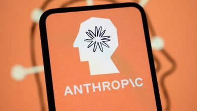 Anthropic’s IPO plans come into focus, Nvidia earnings provide next test for AI trade
